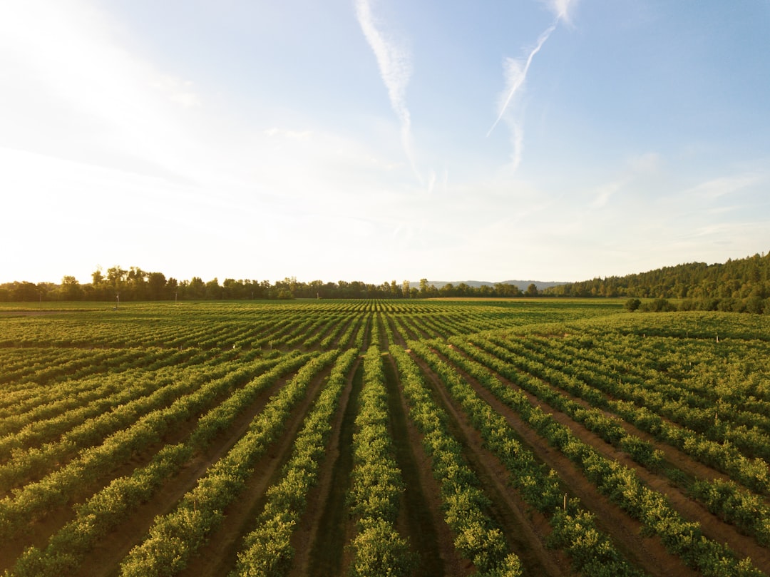 Photo Agriculture, protection